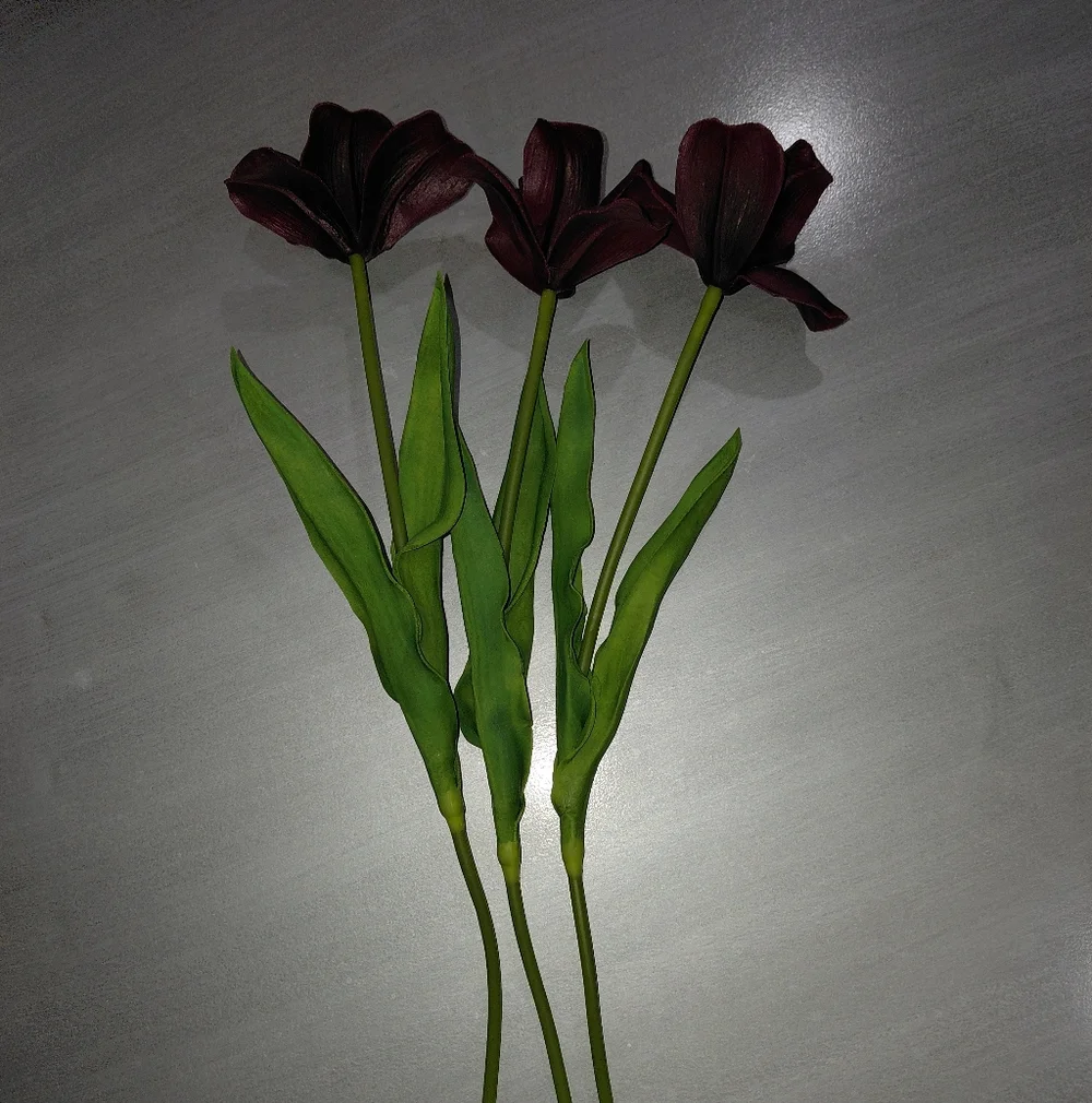 Bundle Of 3 Real Touch Brownie Tulip Stems – Burgundy-18.9